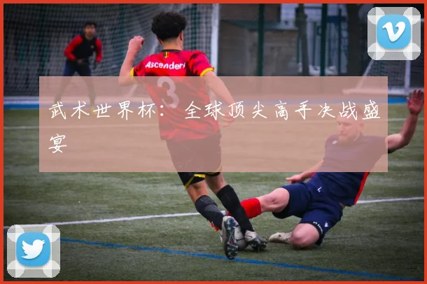 武术世界杯：全球顶尖高手决战盛宴