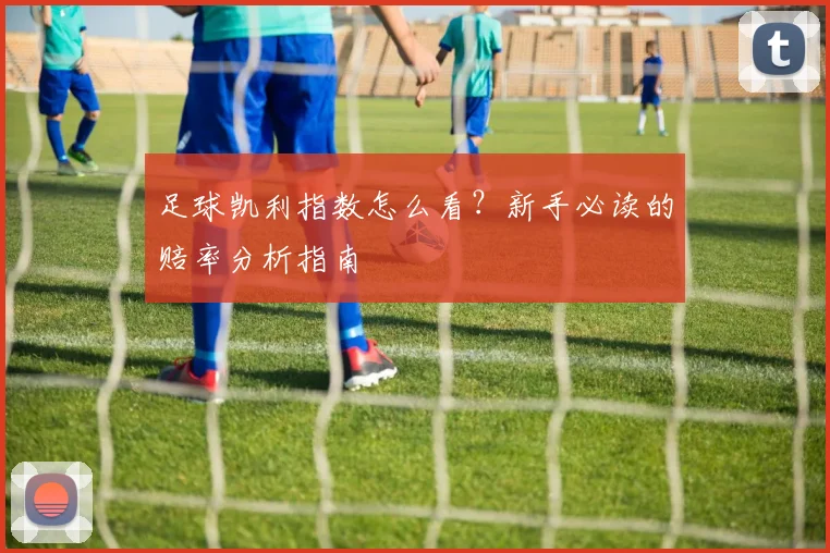 足球凯利指数怎么看？新手必读的赔率分析指南