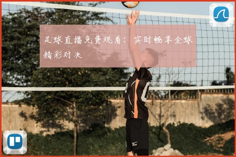足球直播免费观看：实时畅享全球精彩对决