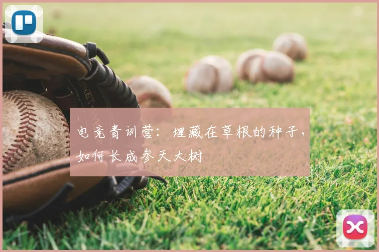 电竞青训营：埋藏在草根的种子，如何长成参天大树