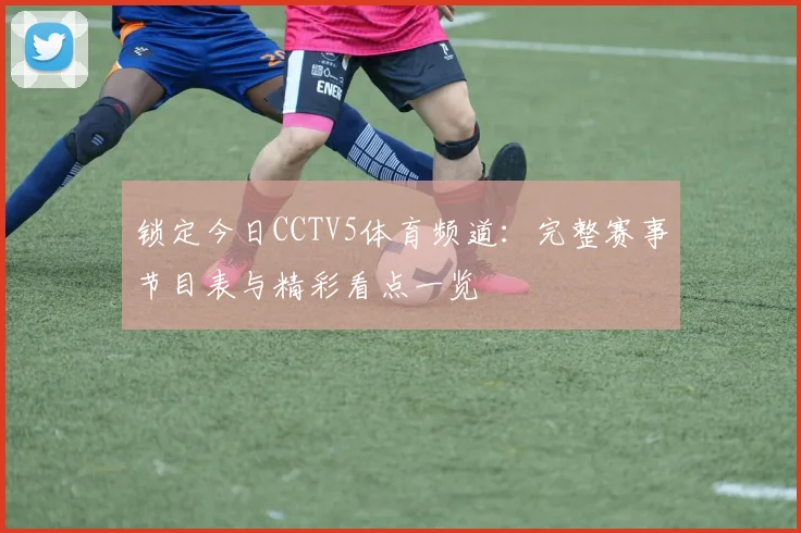 锁定今日CCTV5体育频道：完整赛事节目表与精彩看点一览